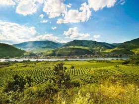 Spitz/Donau mit Tausendeimerberg, &copy; Weinstra&szlig;e Wachau/Rita Newman