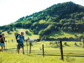 Cesta ke kostelu svat&eacute;ho Ondřeje v Kirchbergu an der Pielach, &copy; weinfranz.at