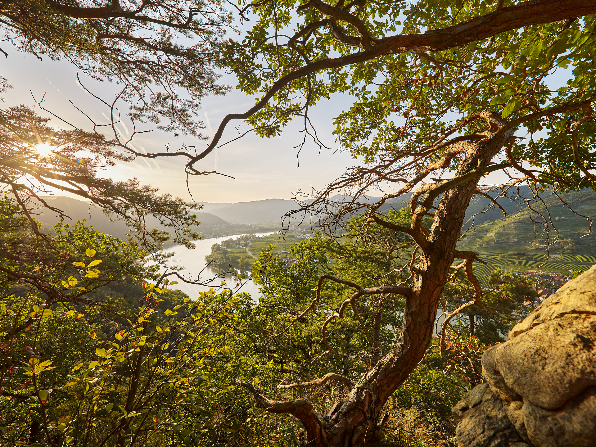 Die sanften Hügel des Dunkelsteinerwaldes laden zu einem unvergesslichen Naturerlebnis ein. Die warmen Sonnenstrahlen brechen durch das dichte Blätterdach und spiegeln sich im ruhigen Wasser der Donau wider. Hier, umgeben von majestätischen Bäumen und einer atemberaubenden Landschaft, findet jeder Besucher einen Ort der Ruhe und Inspiration.