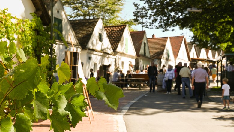 Falkenstein_Kellergassenfest(c)WTG_Lisa Sedlatschek (4), © Weinviertel Tourismus / Lisa Sedlatschek