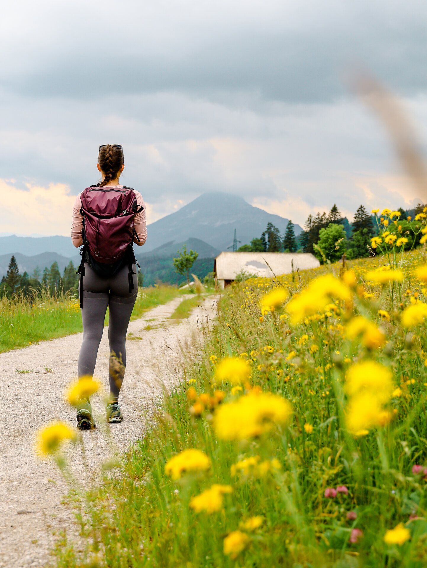 Ein Wanderer genießt die frische Bergluft und die atemberaubende Aussicht auf die umliegenden Gipfel. Die bunten Wildblumen am Wegesrand verleihen der Szenerie einen besonderen Charme und laden dazu ein, die Schönheit der Natur in vollen Zügen zu erleben.