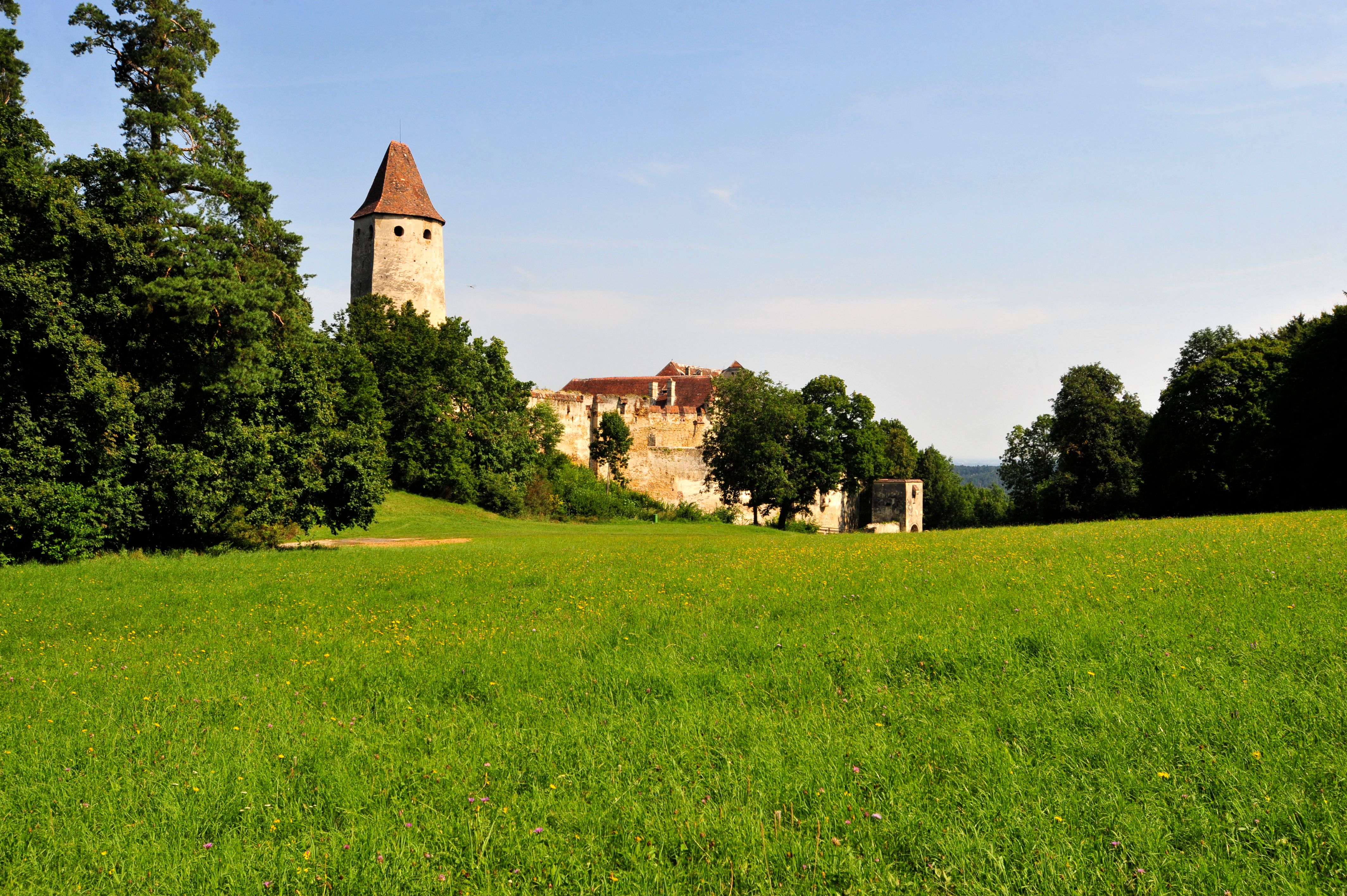 Hrad Seebenstein s věží a zelenou loukou v popředí.