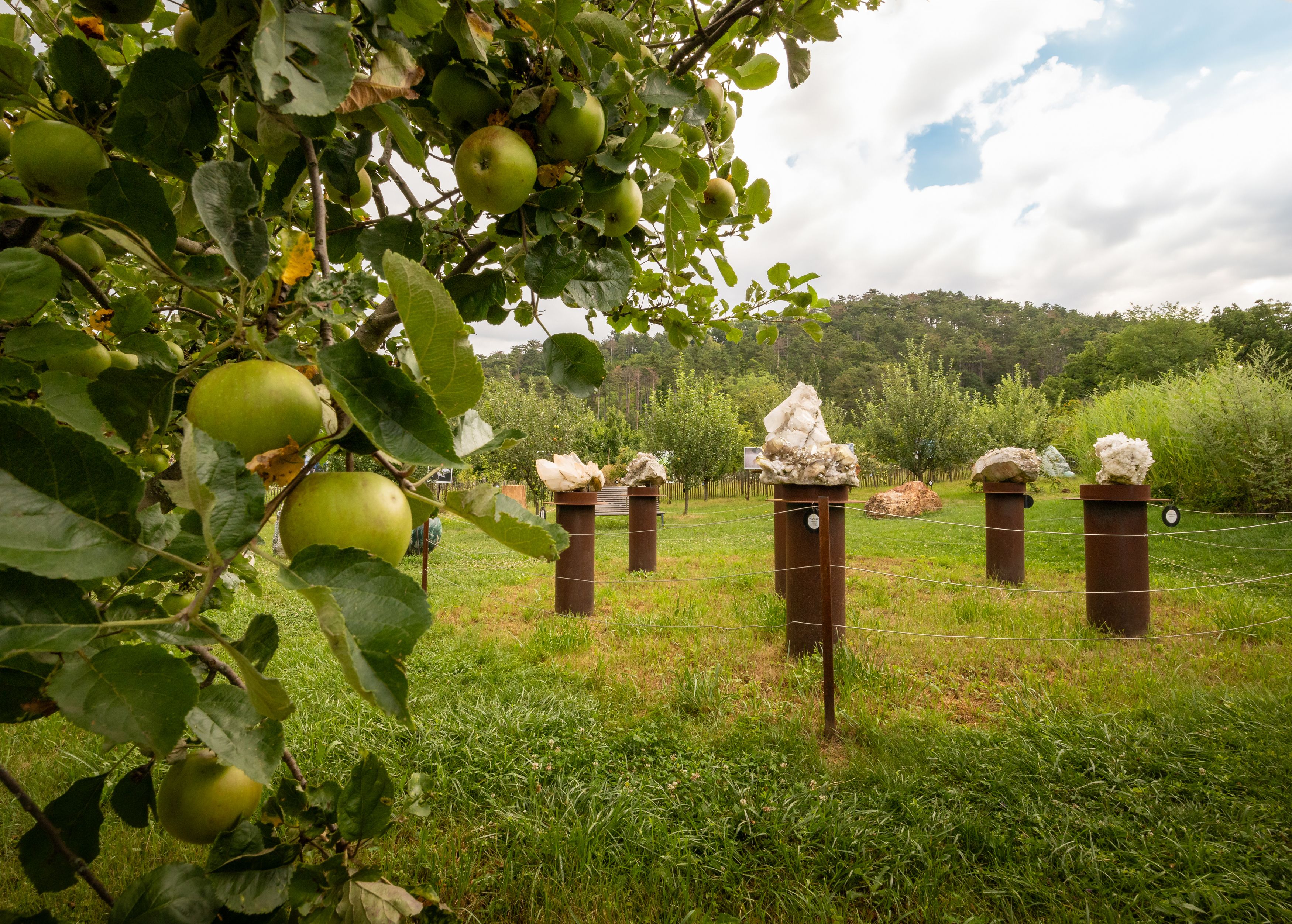 Jabloň v popředí, sochy na podstavcích v pozadí, zelená louka a zatažená obloha.