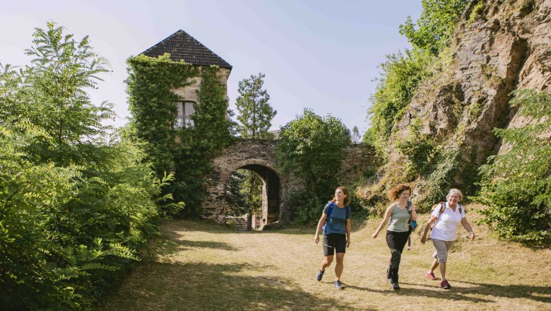 Ruine Krems-Rehberg, © Doris Schwarz-König