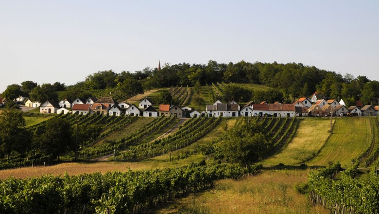 Výjimečná podívaná: sklepní ulička Wildendürnbach!, © Weinviertel Tourismus/Mandl