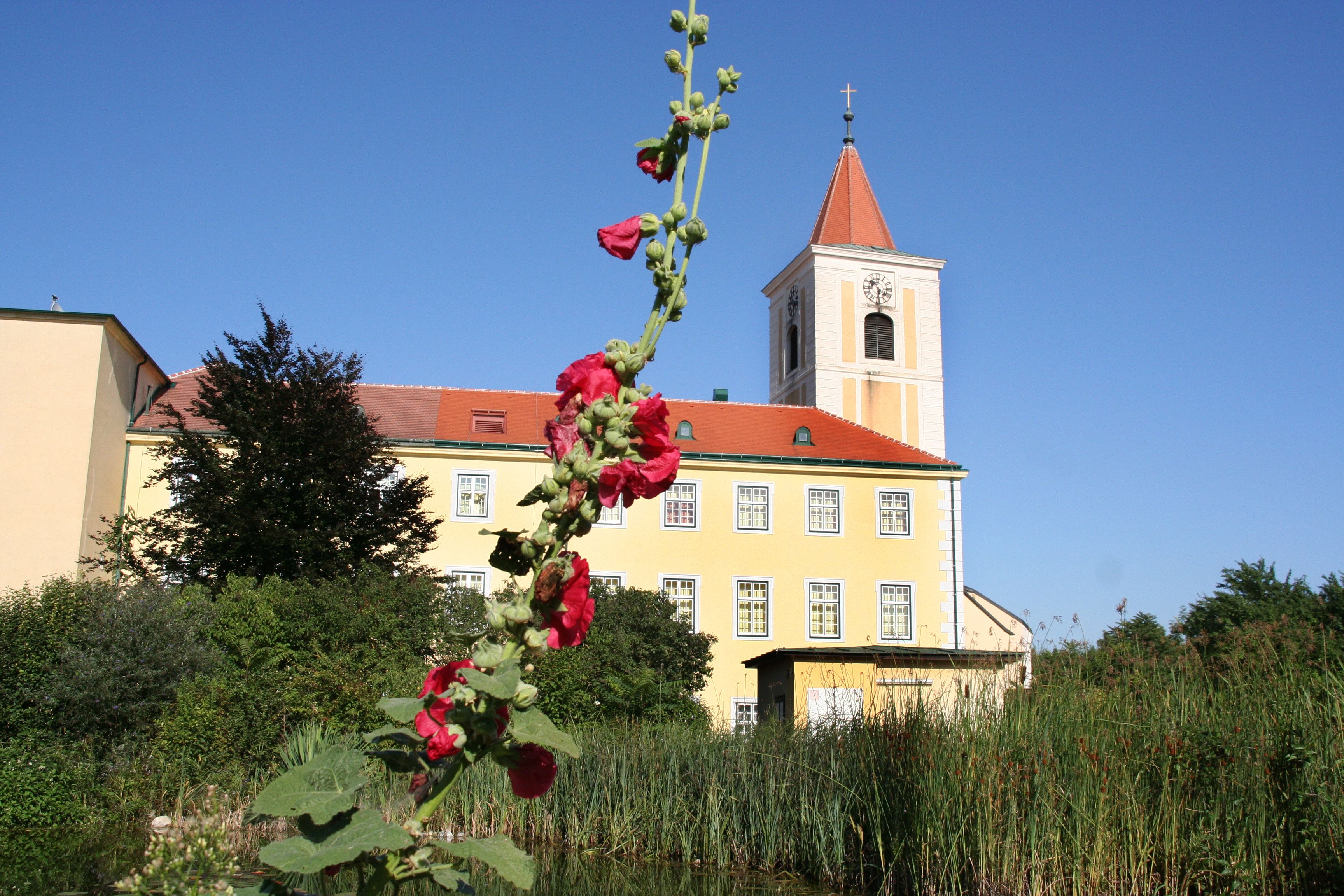 Kostel sv. Andrä s červeným květem v popředí.