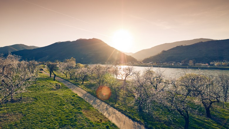 Jaro ve Wachau, © Andreas Hofer