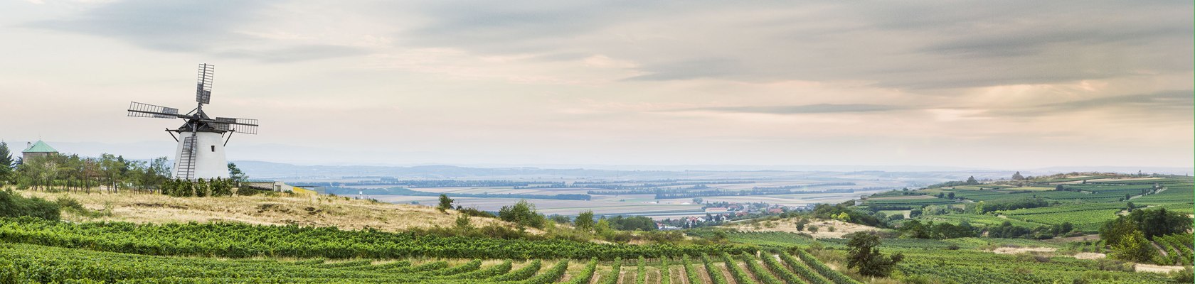 Větrný mlýn v Retzu v regionu Weinviertel, © Niederösterreich-Werbung/ M. Liebert