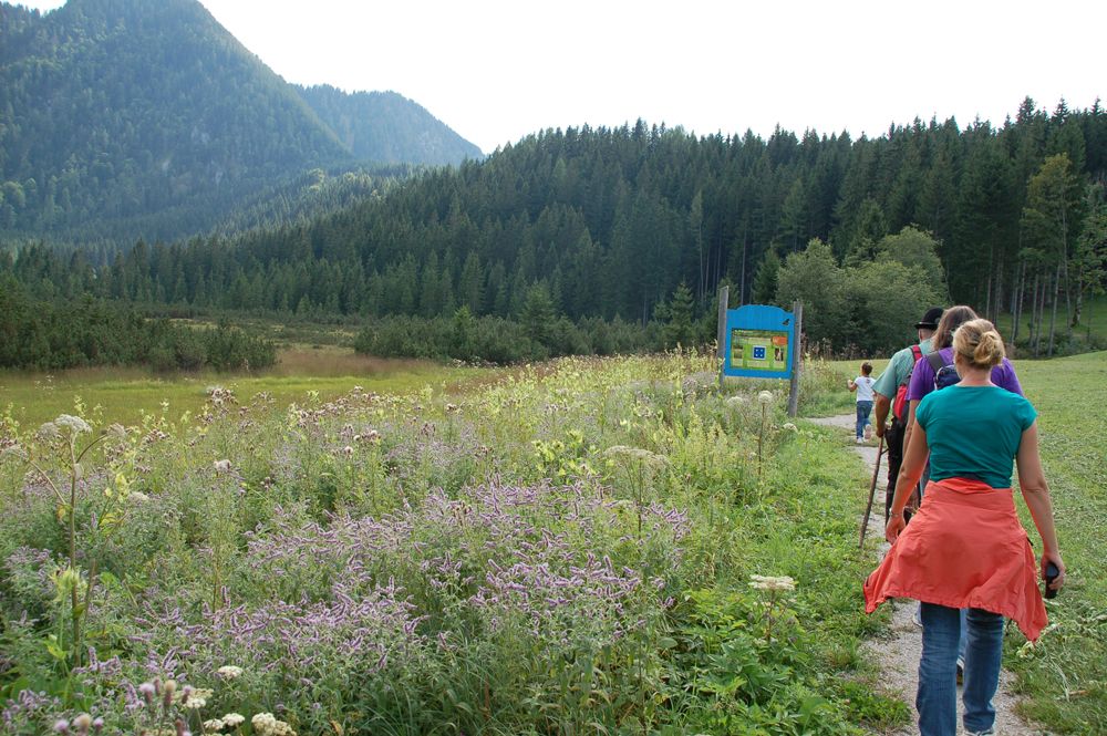 Skupina turistů na cestě rozkvetlou loukou s horami v pozadí.