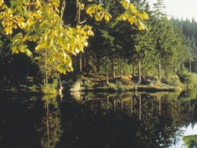 Foto: Archiv Waldviertel Tourismus, &copy; Waldviertel Tourismus