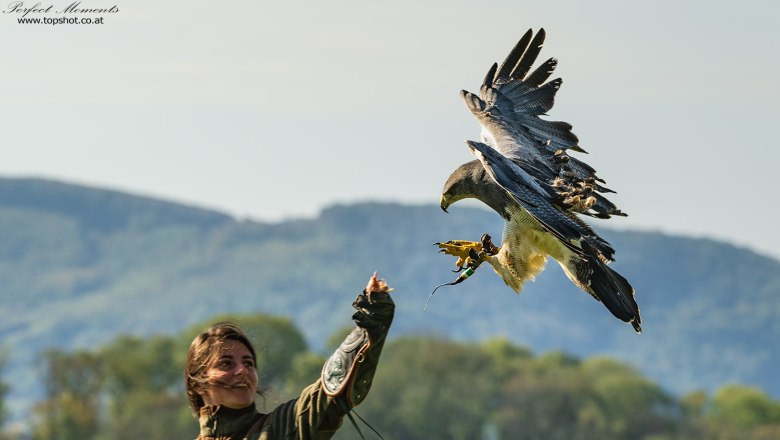 Flugvorführung, © topshot.co.at