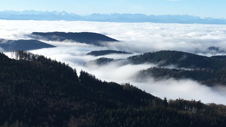 Viewing mountain Burgsteinmauer, &copy; Leo Baumberger