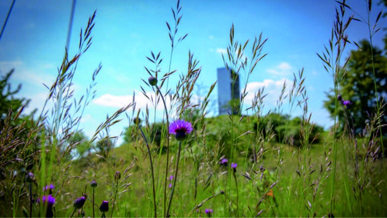 Lindabrunn, &copy; Marktgemeinde Enzesfeld-Lindabrunn