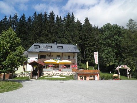 Restaurace s terasou a slunečníky u lesa.