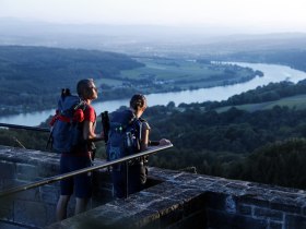 Blick über die Donau, © weinfranz.at