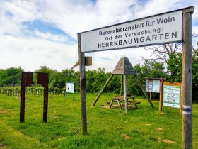 Ehret den Sock-Wanderweg, &copy; Irene Tagwerker