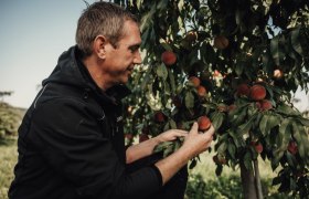 Altenriederer fruit farm, &copy; Monika Jungwirth, Karma & Pitch