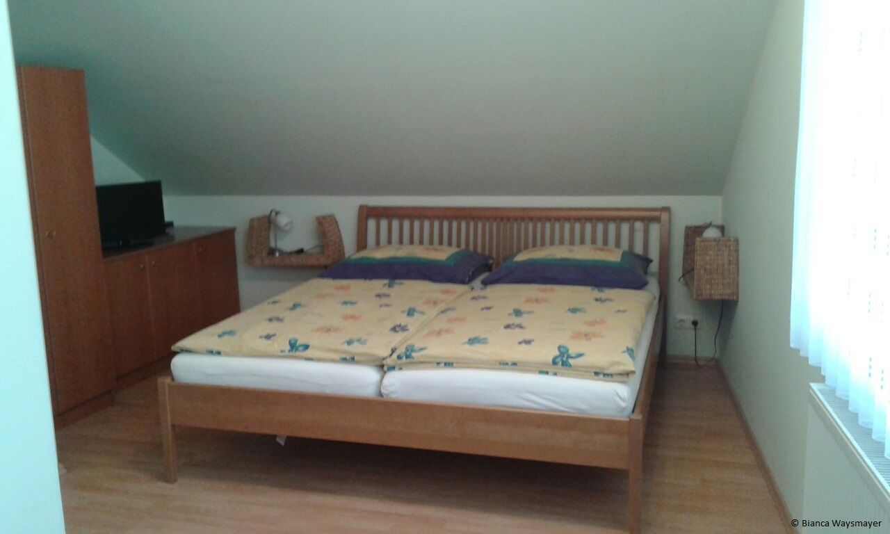 Ložnice s manželskou postelí, šatní skříní a televizí na skříni.