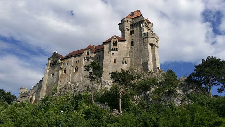 Lichtenštejnský hrad na kopci se stromy a modrou oblohou.