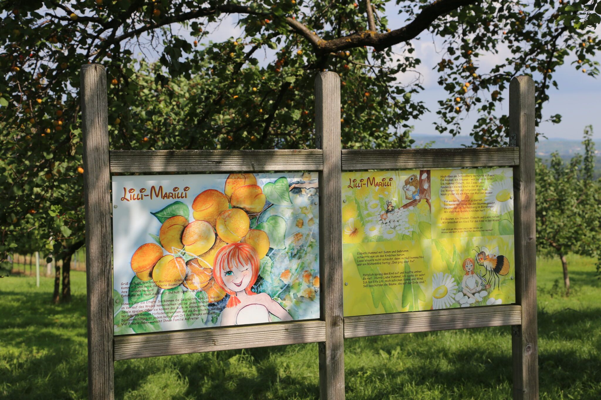 Značení v meruňkové zahradě s ilustracemi Lilli-Marilli a meruňkových plodů.