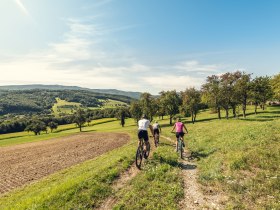 Wiental-Elsbeere-Genuss-Tour _ MTB Trekking durch den westlichen Wienerwald, &copy; Christoph Kerschbaum_www.ishottpeople.at