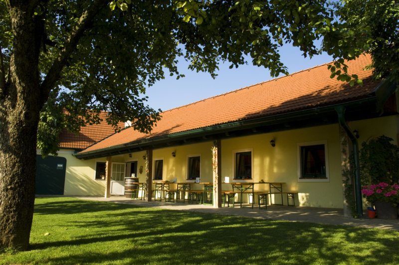 Zahrada vinárny se žlutou budovou, červenými taškami a zelenou loukou.