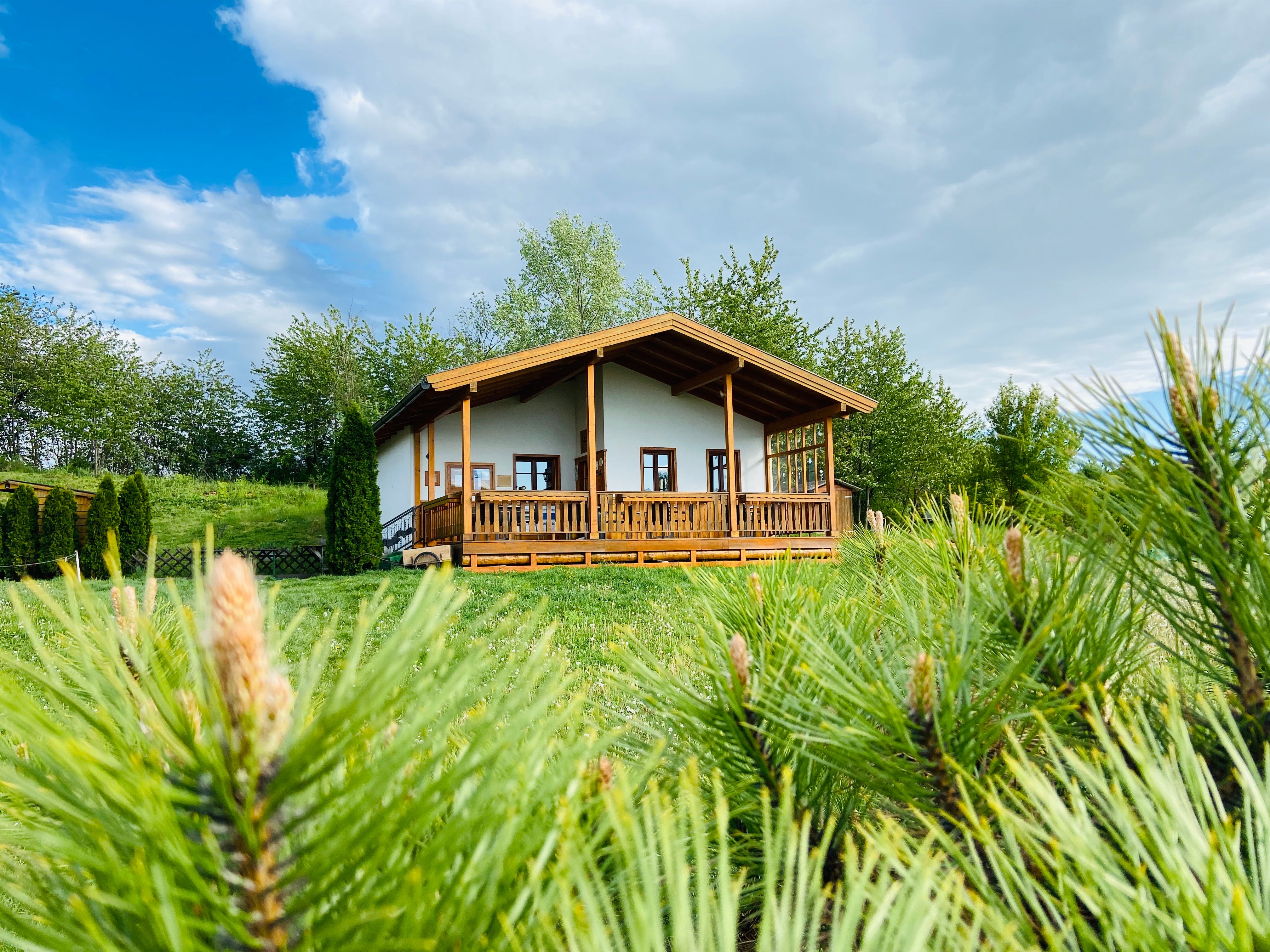 Na zelené louce, obklopené stromy a keři, stojí pod zataženou oblohou malý dřevěný domek s verandou.