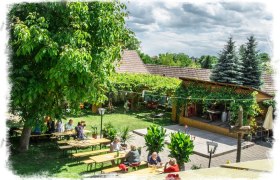 Garden in summer, © Marchsteiner