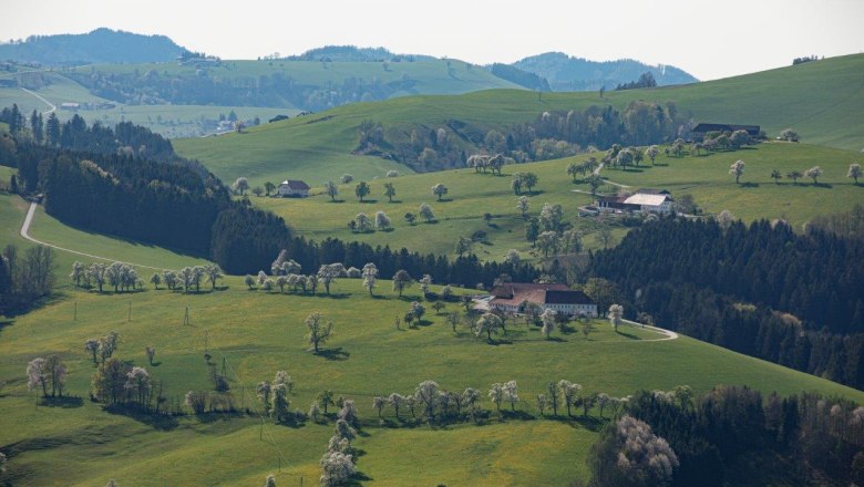 Photo point Mostviertel, &copy; schwarz-koenig.at