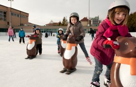 Artificial ice rink Matzen, © Barbara Pacejka