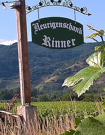 Wine tavern Rinner, © Familie Rinner