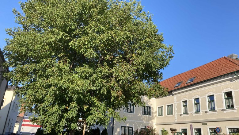 img_0341, &copy; Fr&uuml;hst&uuml;ckspension Gerstbauer