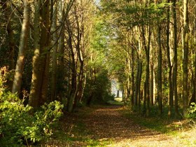 Auf der L&ouml;weninsel vor Melk, &copy; Stadt Melk