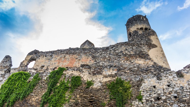 Burgruine Senftenberg 5, © Verein zur Erhaltung der Burgruine Senftenberg