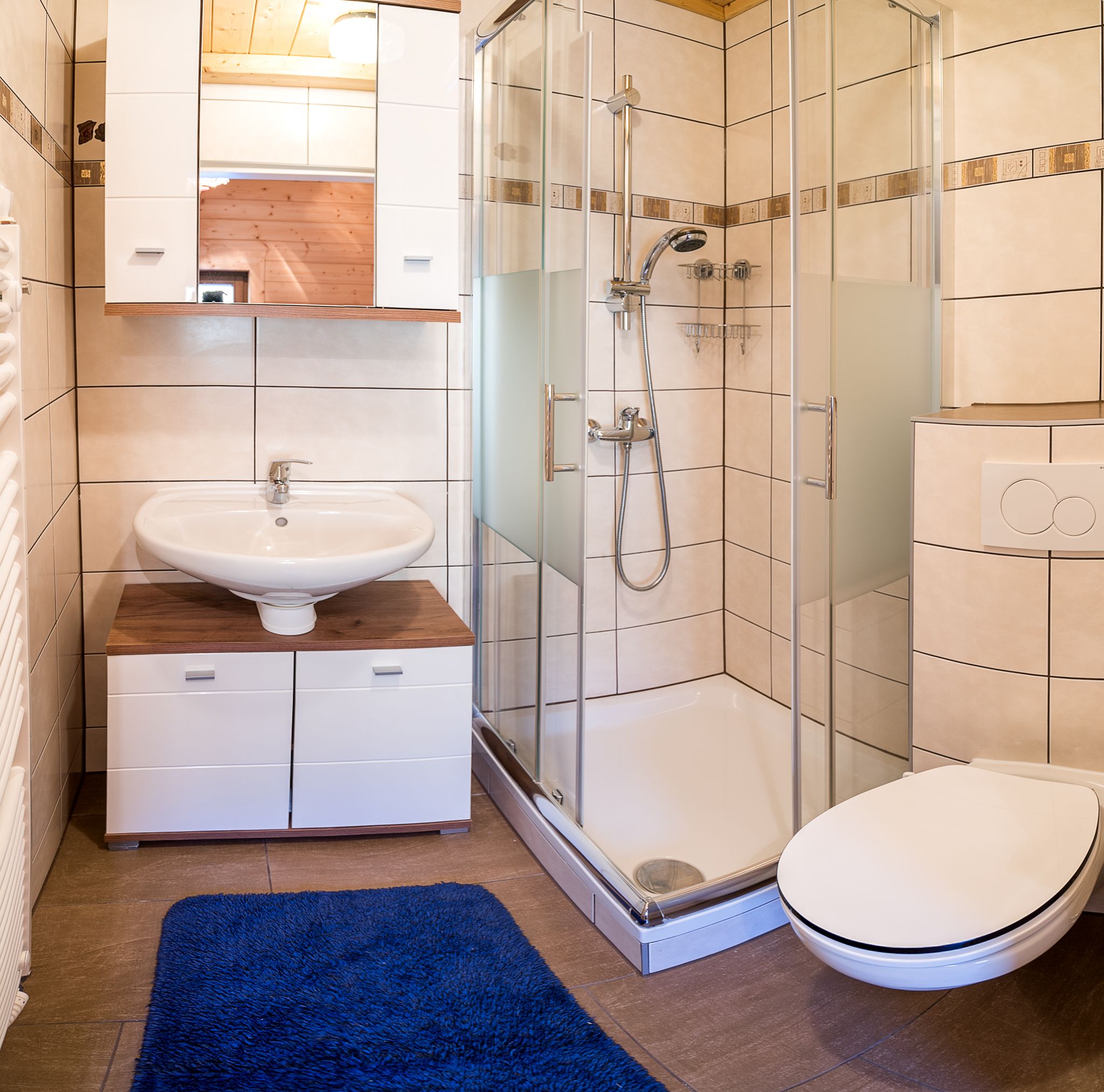Moderní koupelna se sprchovým koutem, umyvadlem, WC a modrou koupelnovou předložkou.