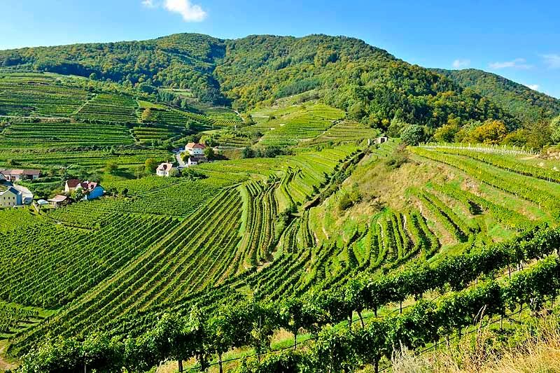 Červená brána a Buchberg ve Spitz an der Donau