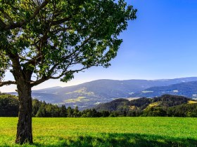 St. Corona, Tannhof, &copy; Wiener Alpen in Nieder&ouml;sterreich