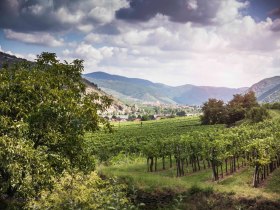 Ausblick aufs n&ouml;rdliche Donauufer, &copy; Daniela Matejschek