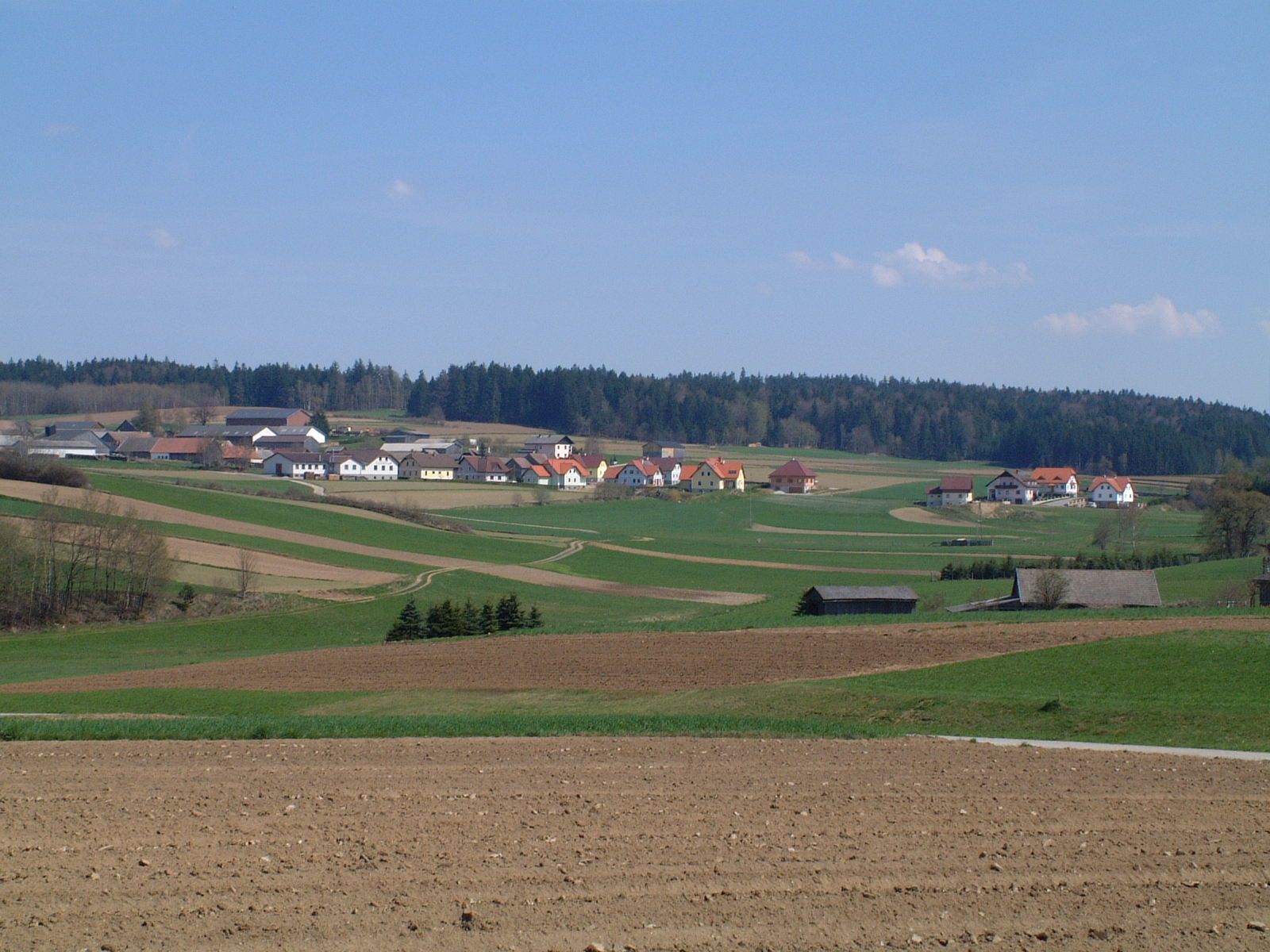 Krajina s poli a vesnicí v pozadí, obklopená lesem.