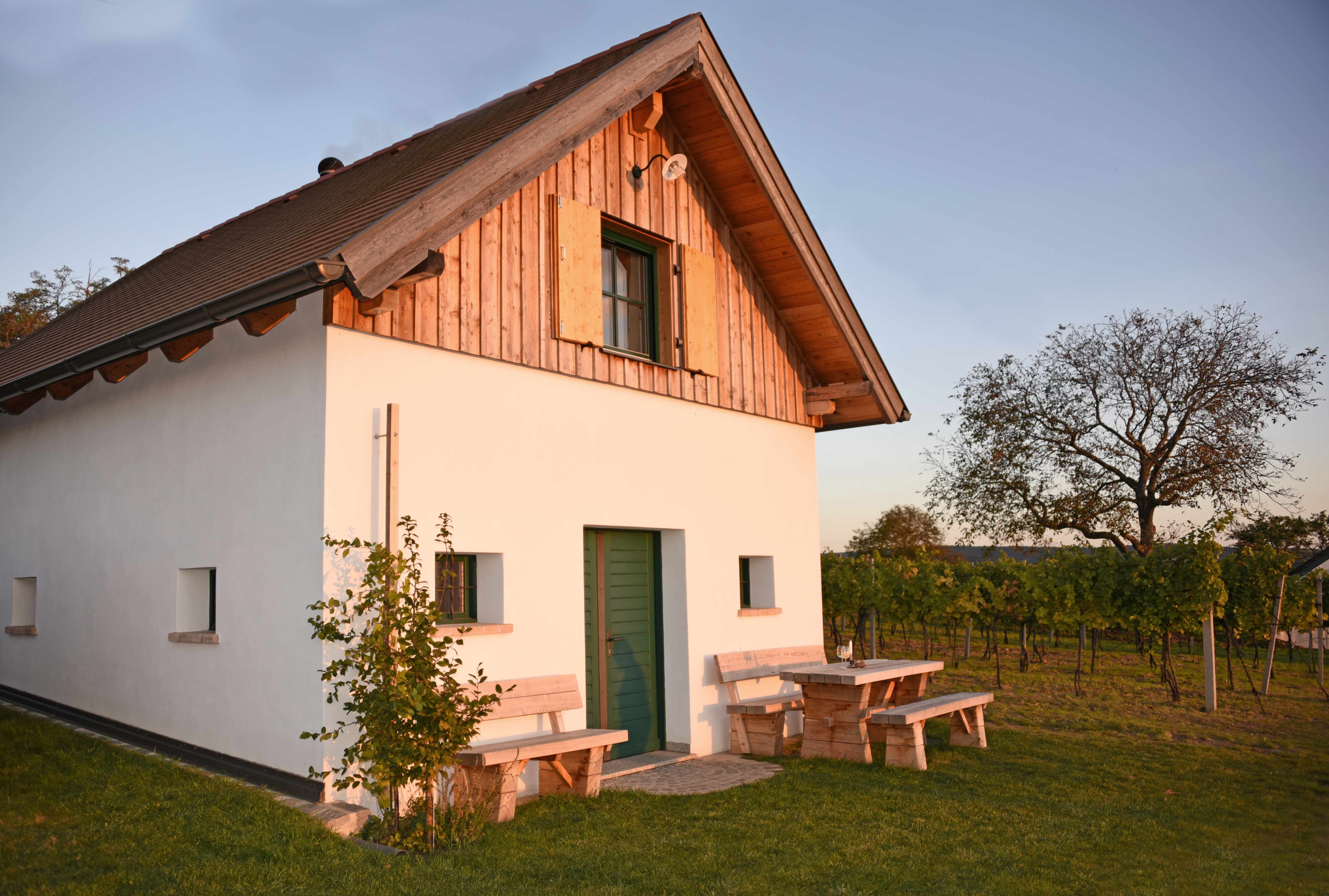 Malý domek s dřevěnými prvky a zelenými dveřmi, obklopený vinnou révou a stromem v západu slunce.