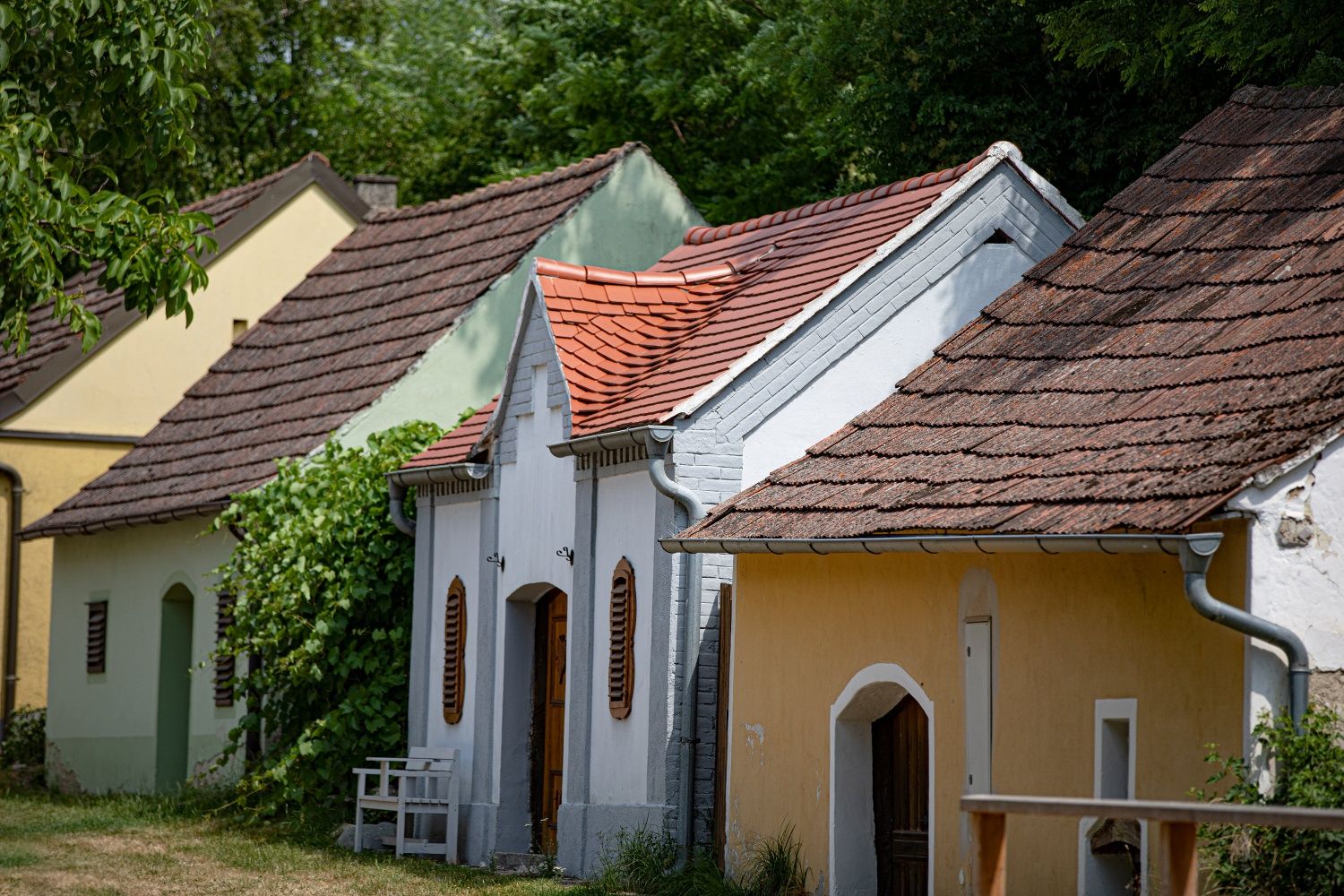 Barevné sklepní uličky s tradičními vinnými sklípky podél klidné ulice lemované stromy za teplého denního světla.