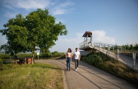 Aussichtsplattform Eisenhut, &copy; TDR- Tourismusregion Wagram