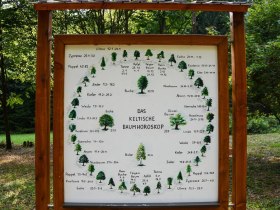 Baumhoroskop, &copy; Stadtgemeinde Litschau