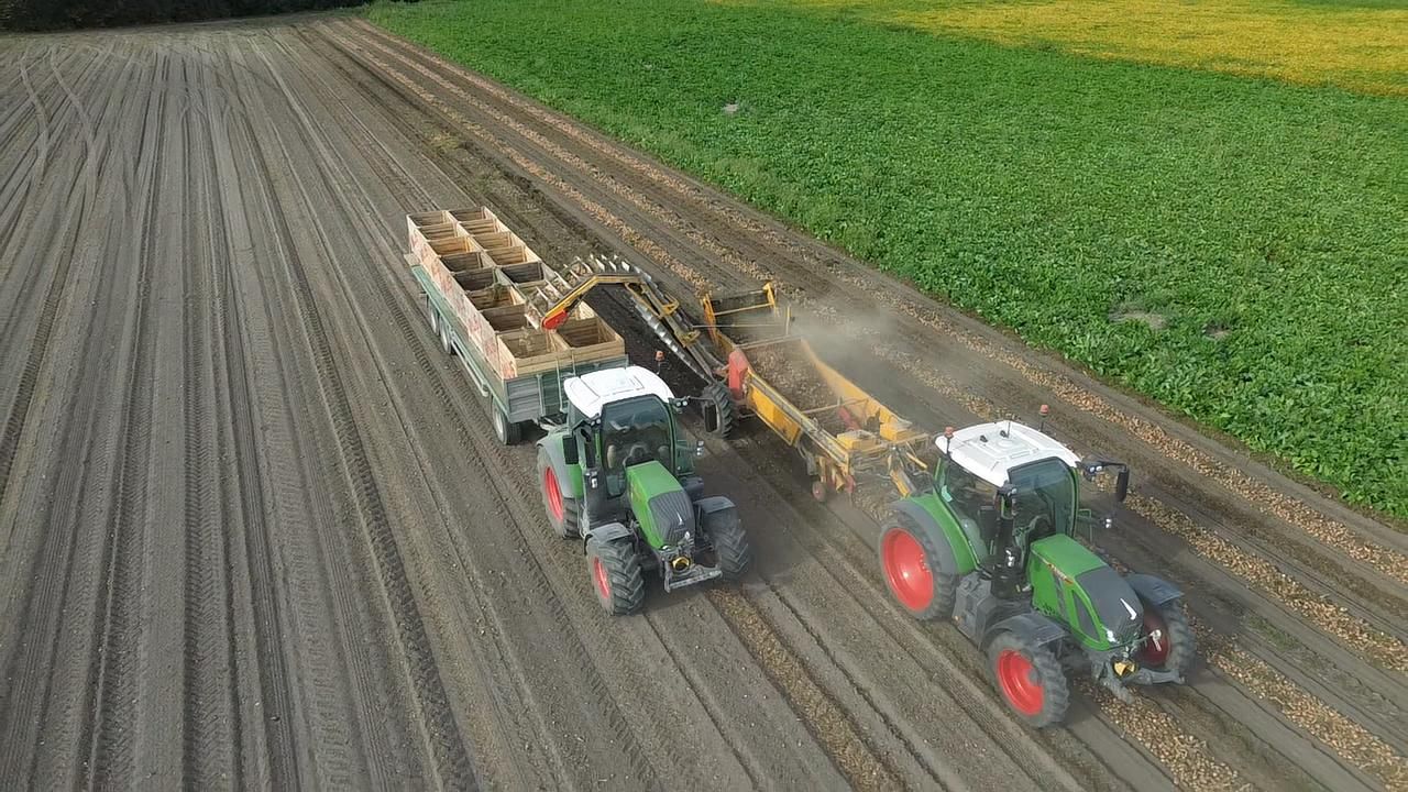 Dva traktory sklízející na poli, jeden táhne přívěs s bednami, druhý kombajn.
