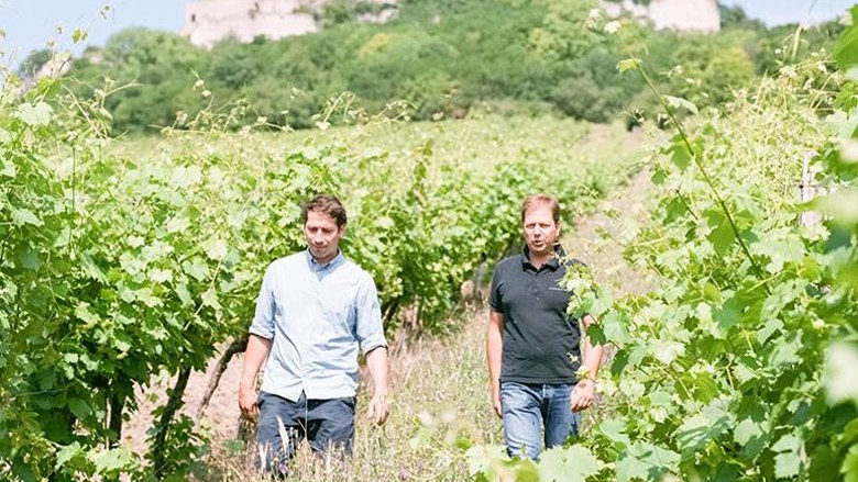 2 brothers, © Weingut Pesau