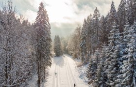 Cross-country skiing on the M&uuml;hlenloipe, &copy; Wiener Alpen, Martin F&uuml;l&ouml;p