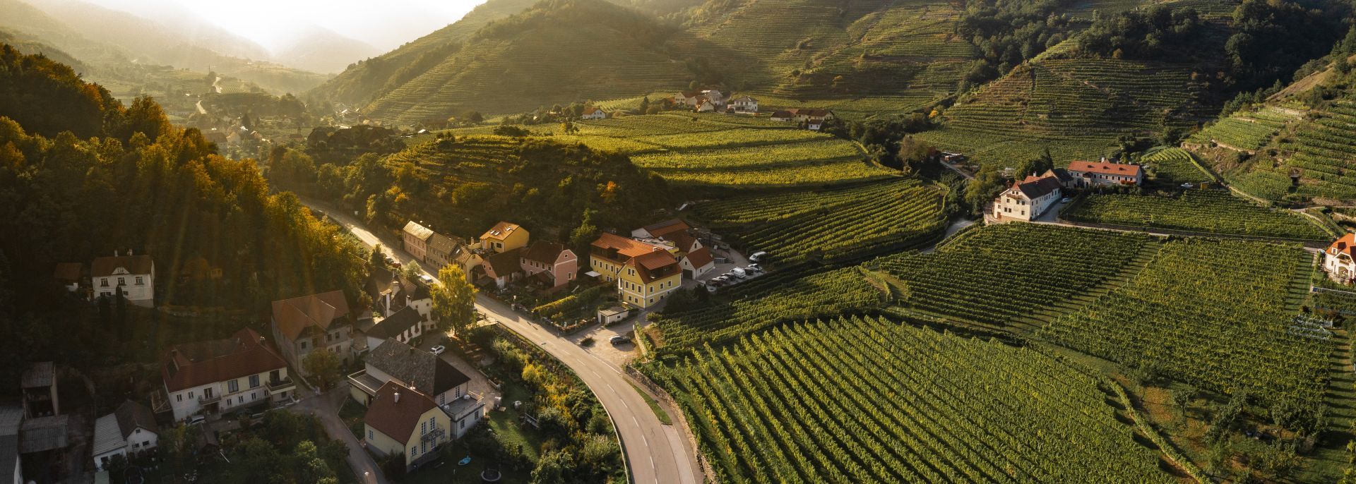 Letecký pohled na venkovskou krajinu s vinicemi a domy při západu slunce.