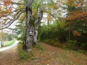 O&Ouml; Mariazellerweg: D: 7. Etappe: Mitterbach - Sebastianikirche - Mariazell, &copy; Mostviertel - O&Ouml; Mariazellerweg
