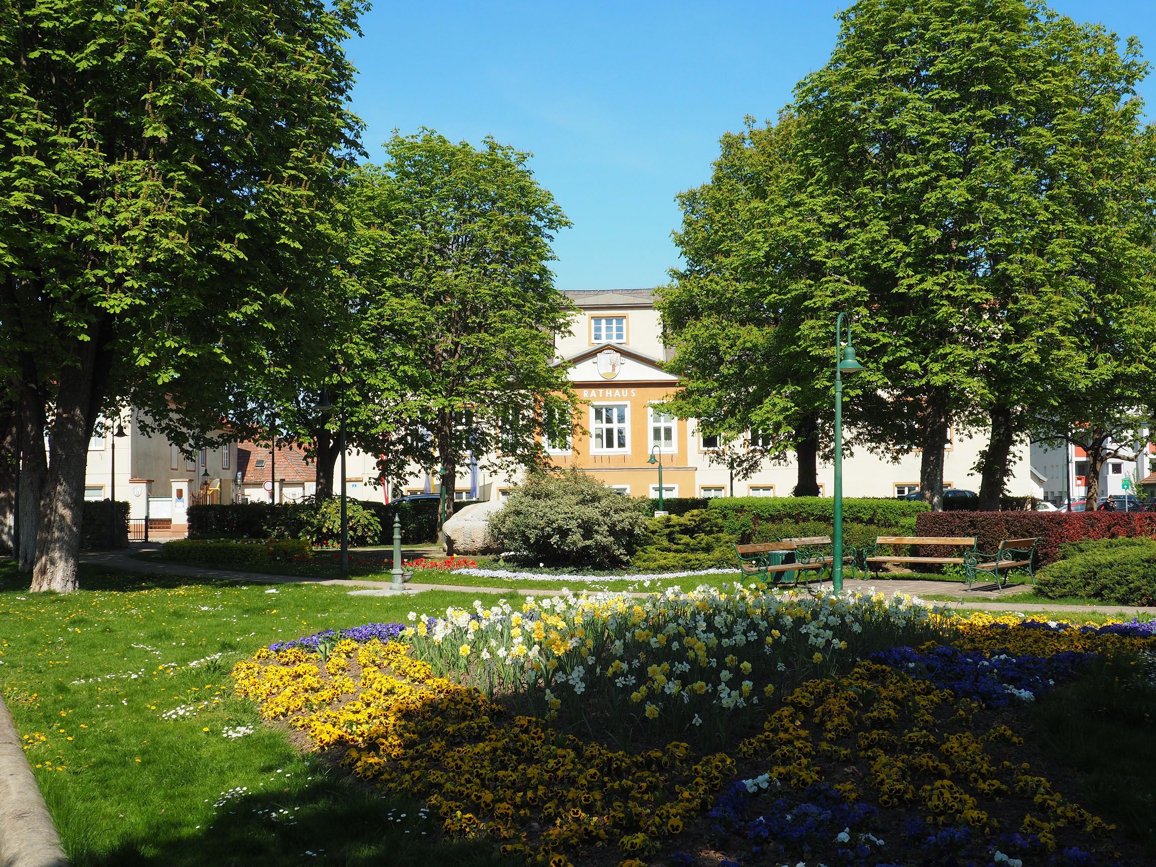 radnice1
