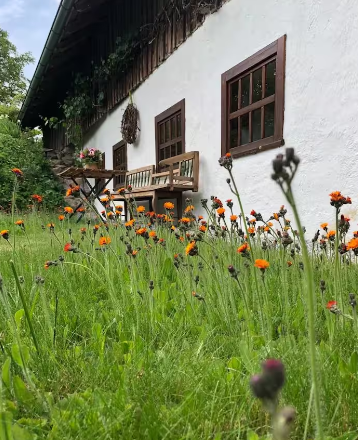 Cottage at the Gföhlerwald, © Elisabeth Veen